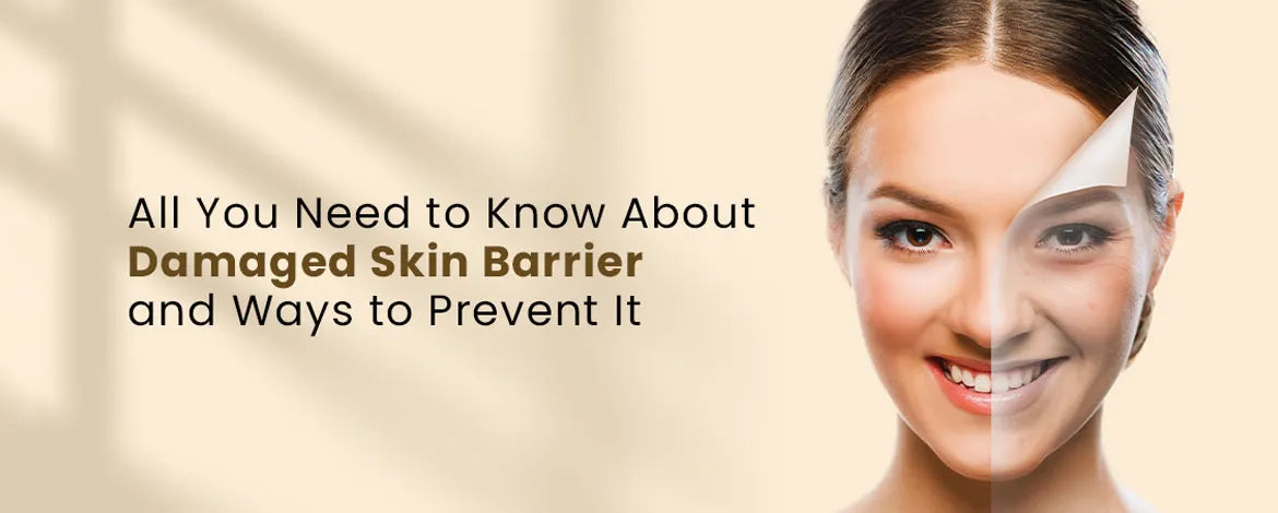 All You Need to Know About Damaged Skin Barrier and Ways to Prevent It ...